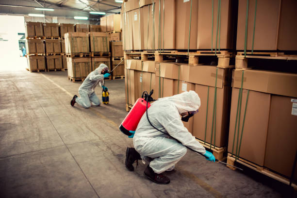 Professional Pest Control in Lexington, NC